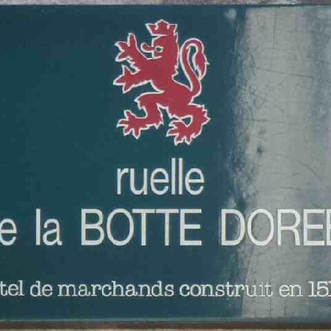 Z2505-15 GDG Ouest à Vitré 020 Botte dorée