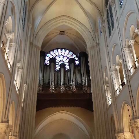 Z2510-10 AG GDG Paris 57 - la cathédrale - les grandes orgues et la rosace ouest