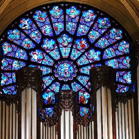 Z2510-10 AG GDG Paris 57a - la cathédrale - les grandes orgues et la rosace ouest